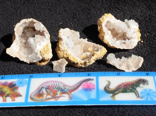 Dinosaurs Rock Geodes